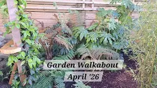 No. 122 - Garden Walkabout - April '26