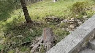Белая Русь Туапсе