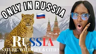 Russia in 4K: Amazing Animals, Breathtaking Nature & Beautiful Cities (REACTION)