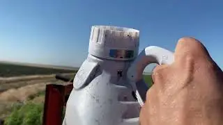 Обприскування соняшника «про пульс»