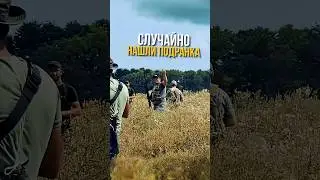 НАШЛИ ПОДРАНКА ПЕРЕПЕЛА #охотарыбалка #охота #добыча #hunting #перепел