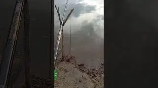 Вот это лещь амбал на 1 200кг #13