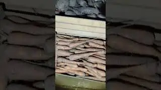 Подготовка урожая моркови и свеклы к хранению!