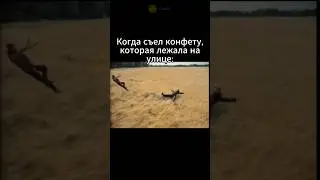 зато знаешь магию #мемы #смешныемемы #смешныевидео #shorts