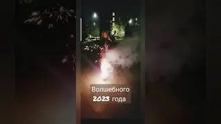 С Волшебным 2023 годом!!