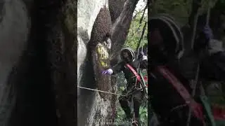 Полезный неверное медок-то...