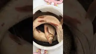 В этом году осень наступила как то резко похолодало именно когда мы приехали на рыбалку плюс дождь !