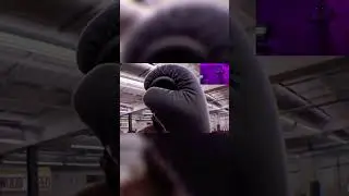 Round 1 #shorts #youtubeshorts #trending #boxing #viral