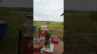 13 июля 2023 г.