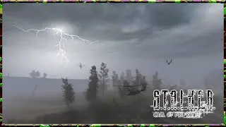 S.T.A.L.K.E.R Call of Pripyat: Evacuation and Ending Credits