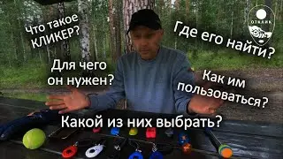 Что такое кликер? Зачем он нужен для собаки?