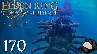 Metyr, Mother of Fingers - Part 170 -🔥Elden Ring: Shadow of the Erdtree [PC]