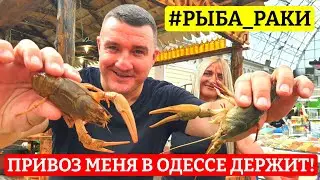 ⚓Одесса Рыбный день💥Шокирующий выбор🐟 Привоз в последний день лета 🪙Цены 31.08.2023📆