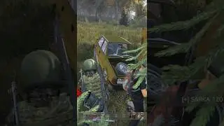 Неожиданная встреча в лесу #dayz #dayzcommunity #игры