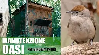 La mia OASI - Manutenzione pozza e apertura mangiatoie