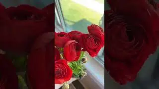 DIY FLOWER UNBOXING