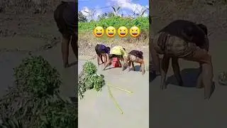 मजेदार वीडियो! #shorts #viral #shortvideo #tranding on shorts #ytshorts #legaljobncr #shortvideos