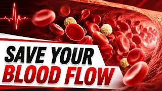 Top 15 Clogged Artery & Circulation Foods! [High Vitamin K2 Foods]