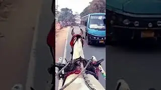 রাজগীর টাঙ্গা 🤩🤩 Rajgir Tanga Ride 🤩🤩 shorts 