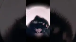 Когда ВПР в Эксель сработал с первой попытки 😏 