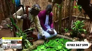 JJAJJA MBUGA ERAMULA AMBUULIDDE AMAANYI AGARI KU NNYANJA YA MUKASA.
