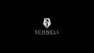Introducing Schnell CCTV