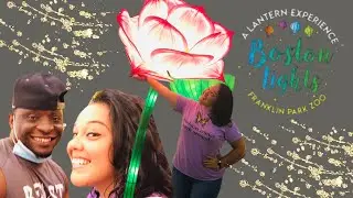 Lights Everywhere! | Boston Lights Lantern Experience | Bed with Bae