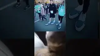 chipi chipi chapa chapa #shorts #cat #mrbeast #cats #music #explore
