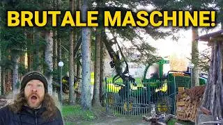 Major OPERATION in the FOREST: Saving my HOUSE? | My house in the Italian mountains