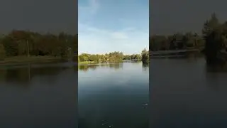 осень Зеленоград МЖК