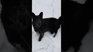 Если с другом вышел в путь...🙂😄😁👍