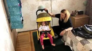 Коляска BABYHIT AMBER