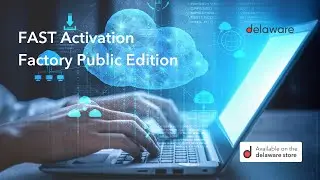 FAST Activation Factory Public Edition é com a delaware Brasil