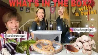 WHAT'S IN THE BOX? W/A TWIST! (KUMANDER KARLA + OWHEN RANGER)