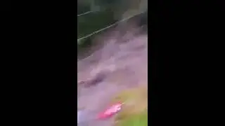 Bilimsel deney nasıl yapılır | Rahatlık batmış olsa gerek