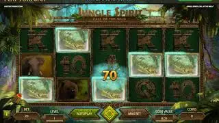 25 free spins playfortuna