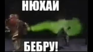 НЮХАЙ БЕБРУ