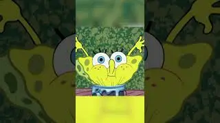 ALLE SPONGEBOB FOLGE GERANKED