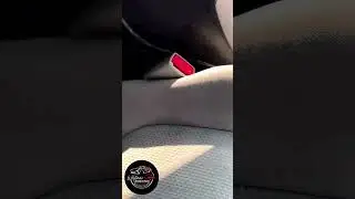 Trust the Process #asmr #detailing #autodetailing #fyp