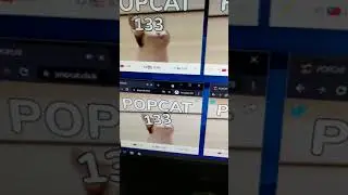 POPCAT MULTIPLE SCREEN Auto Click AHK Code | AutoHotkey