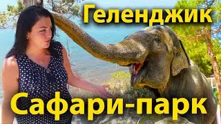 #Геленджик
