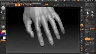 zBrush - Hand study update
