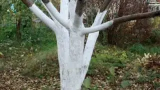 Труд людей весной