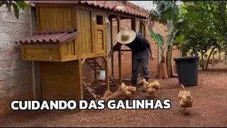 Dia de cuidar das galinhas 🐔 A rotina mais simples e bonita da chacrinha 🌾