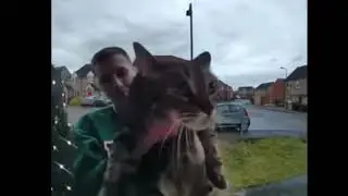 CAT AT DOOR 1 HOUR!