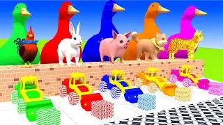 5 Giant Duck Cartoon, Lion, Elephant, Tiger, Gorilla, Dinosaur, Transfiguration funny animal 2023