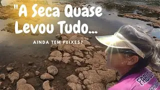Rio Mogi Guaçu Está Secando! Veja Como a Pesca Mudou e O Que Você Pode Fazer!