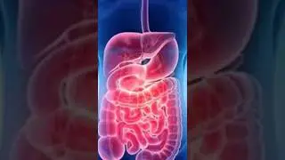 Мына белгілер сізде болса Шлак толғанының белгісі. Ағзаны шлактан тазалау.