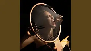 THE LIGHTS (The Outro)