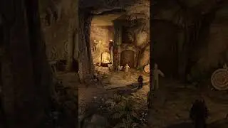 Skyrim's Bravest Author